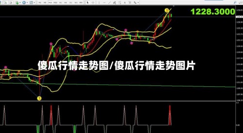 傻瓜行情走势图/傻瓜行情走势图片-第3张图片