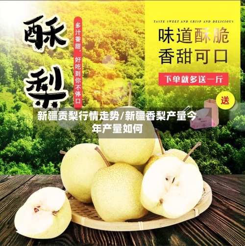 新疆贡梨行情走势/新疆香梨产量今年产量如何-第2张图片
