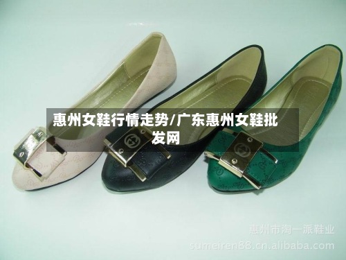 惠州女鞋行情走势/广东惠州女鞋批发网