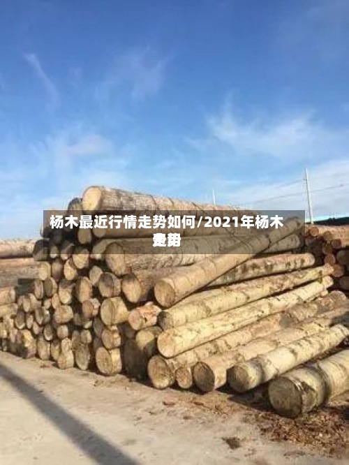 杨木最近行情走势如何/2021年杨木费用
走势-第2张图片