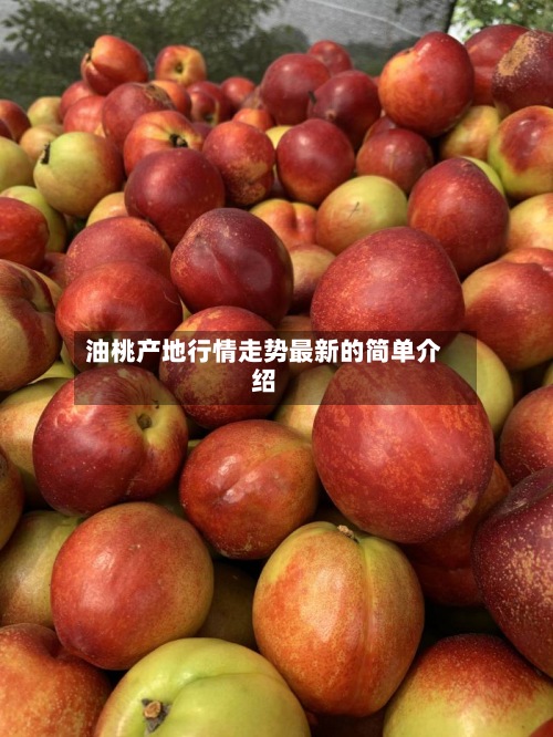 油桃产地行情走势最新的简单介绍-第3张图片