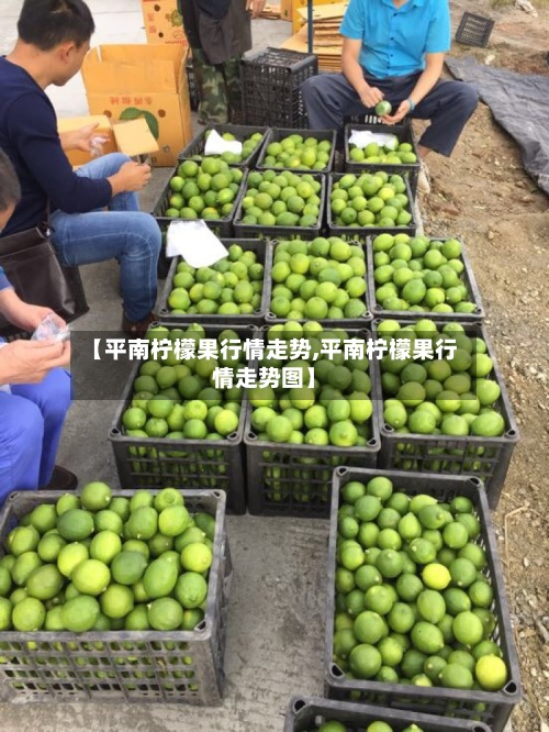 【平南柠檬果行情走势,平南柠檬果行情走势图】