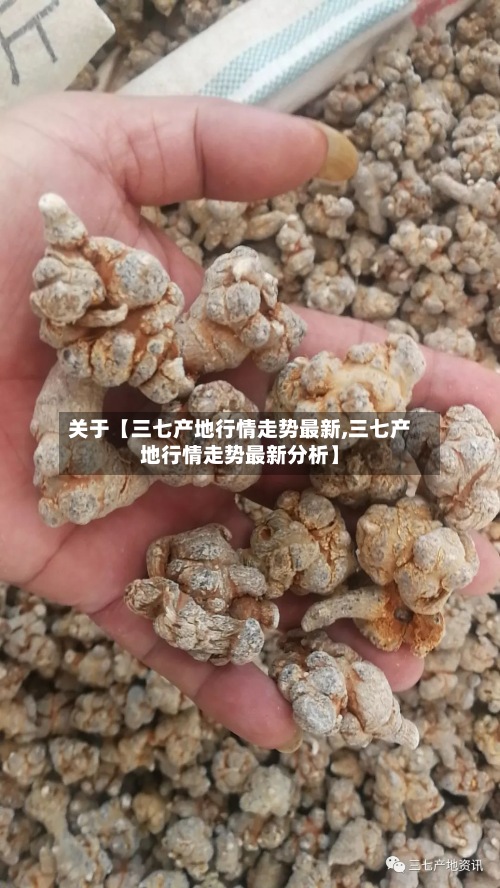 关于【三七产地行情走势最新,三七产地行情走势最新分析】