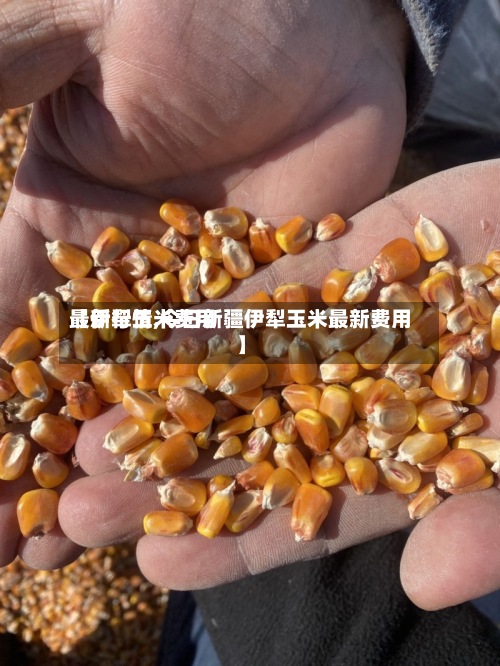 【伊犁玉米费用最新行情,今日新疆伊犁玉米最新费用】-第2张图片