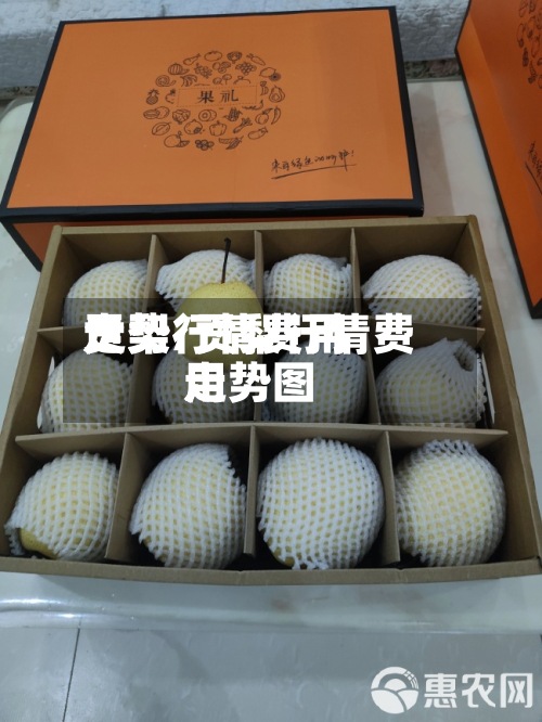 贡梨行情费用
走势/贡梨行情费用
走势图