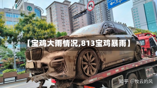 【宝鸡大雨情况,813宝鸡暴雨】-第2张图片