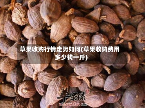 草果收购行情走势如何(草果收购费用
多少钱一斤)-第2张图片
