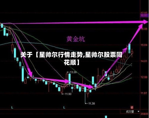 关于【星帅尔行情走势,星帅尔股票同花顺】-第2张图片