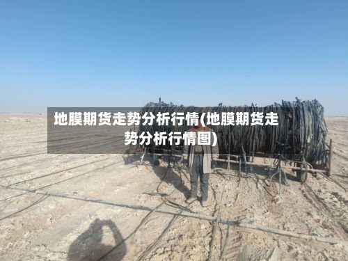 地膜期货走势分析行情(地膜期货走势分析行情图)-第3张图片