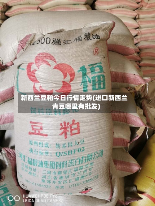 新西兰豆粕今日行情走势(进口新西兰青豆哪里有批发)