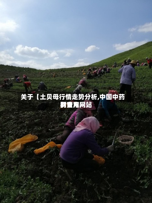 关于【土贝母行情走势分析,中国中药材费用网官方网站】