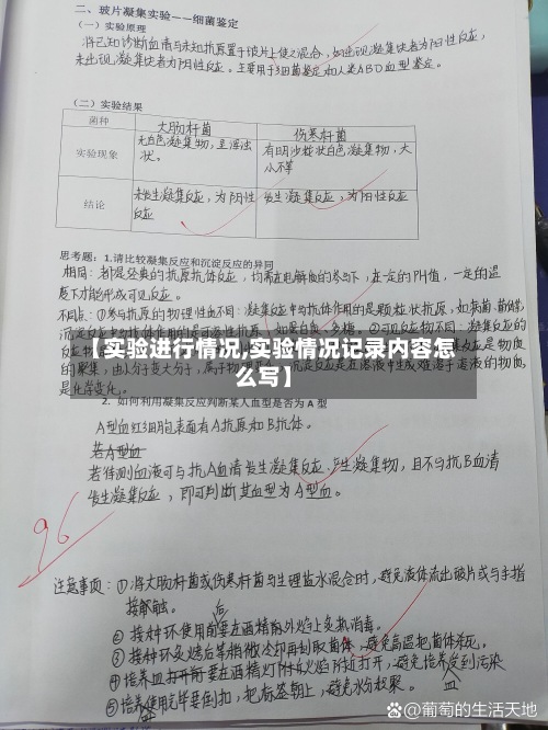 【实验进行情况,实验情况记录内容怎么写】