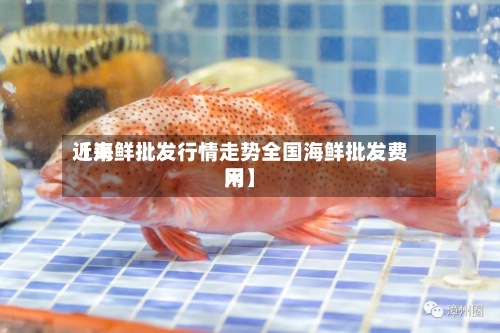 近来【海鲜批发行情走势全国海鲜批发费用网】-第2张图片