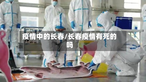 疫情中的长春/长春疫情有死的吗