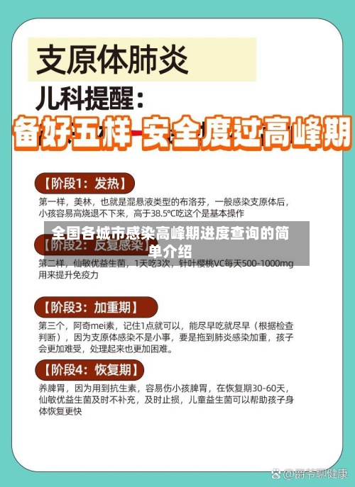 全国各城市感染高峰期进度查询的简单介绍-第2张图片