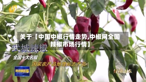 关于【中国中椒行情走势,中椒网全国辣椒市场行情】-第2张图片