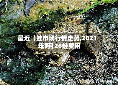 最近【蛙市场行情走势,2021年7月26蛙费用
走势】-第2张图片