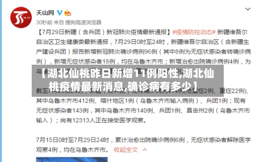 【湖北仙桃昨日新增11例阳性,湖北仙桃疫情最新消息,确诊病有多少】-第3张图片