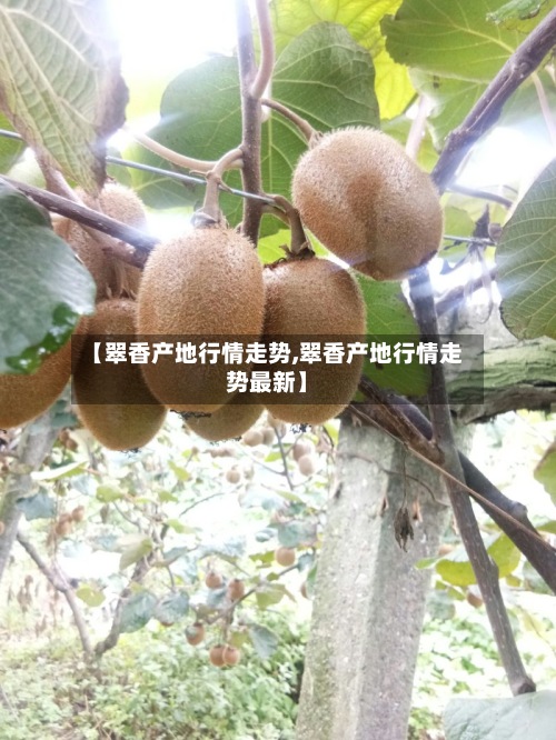 【翠香产地行情走势,翠香产地行情走势最新】