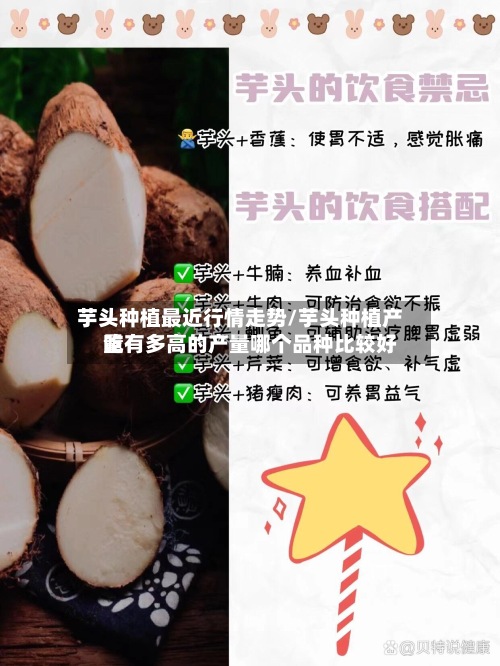 芋头种植最近行情走势/芋头种植产量有多高的产量哪个品种比较好
吃
