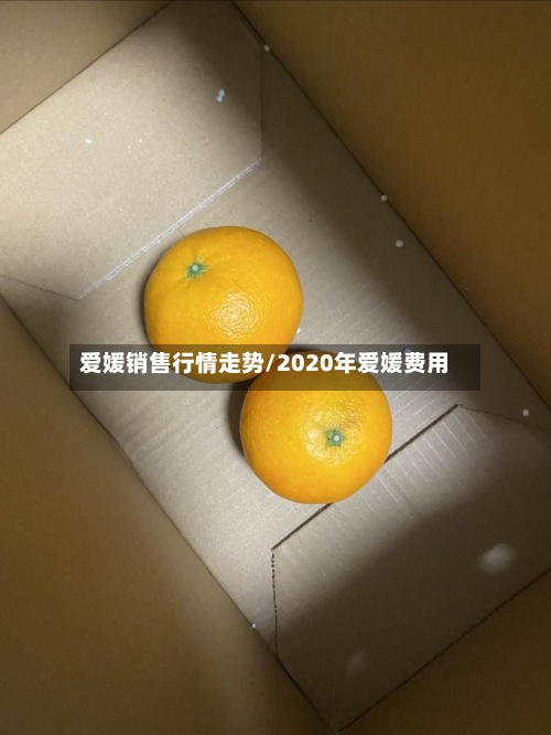 爱媛销售行情走势/2020年爱媛费用-第3张图片