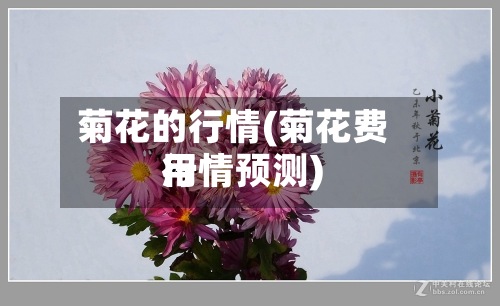 菊花的行情(菊花费用行情预测)-第3张图片