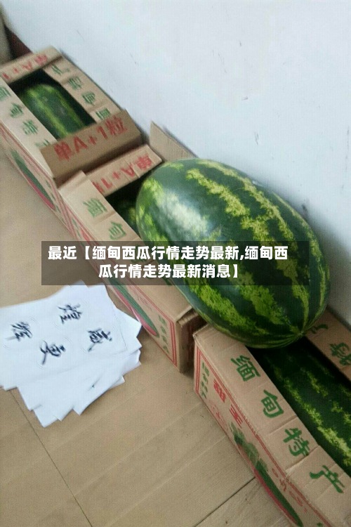 最近【缅甸西瓜行情走势最新,缅甸西瓜行情走势最新消息】-第3张图片