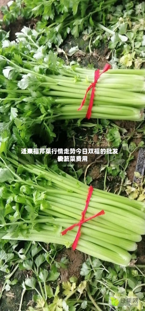 近来
【双福芹菜行情走势今日双福的批发价蔬菜费用
表】-第2张图片