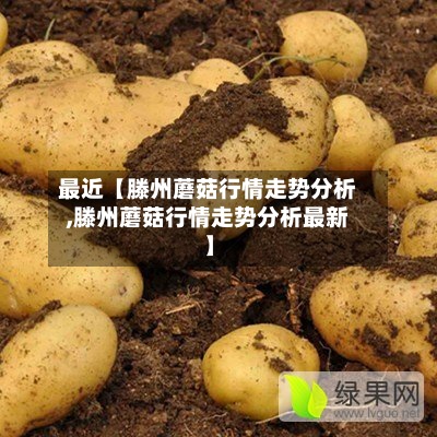 最近【滕州蘑菇行情走势分析,滕州蘑菇行情走势分析最新】-第2张图片