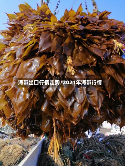 海带出口行情走势/2021年海带行情-第3张图片