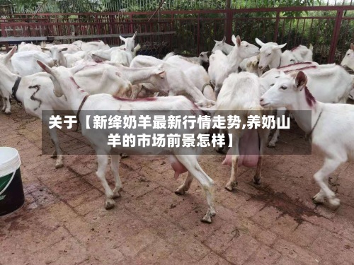 关于【新绛奶羊最新行情走势,养奶山羊的市场前景怎样】-第2张图片