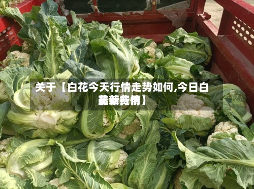 关于【白花今天行情走势如何,今日白花菜费用
最新行情】