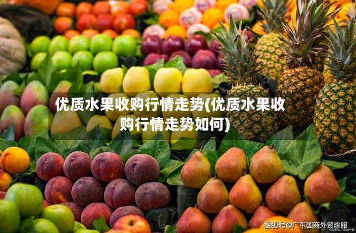 优质水果收购行情走势(优质水果收购行情走势如何)