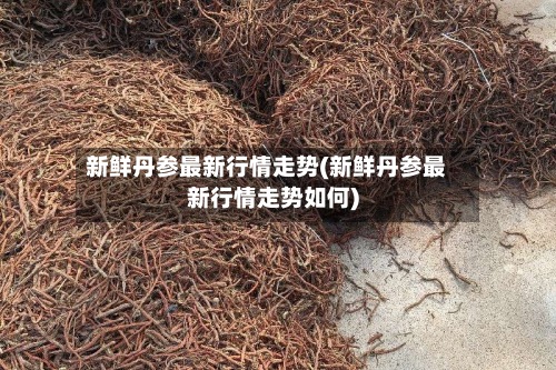 新鲜丹参最新行情走势(新鲜丹参最新行情走势如何)-第3张图片