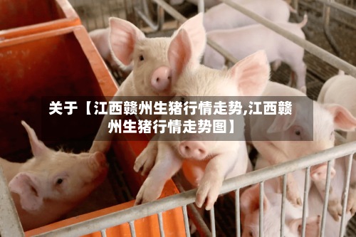 关于【江西赣州生猪行情走势,江西赣州生猪行情走势图】