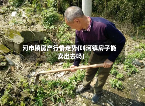 河市镇房产行情走势(叫河镇房子能卖出去吗)-第3张图片