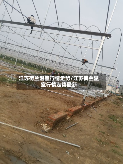 江苏荷兰温室行情走势/江苏荷兰温室行情走势最新-第3张图片