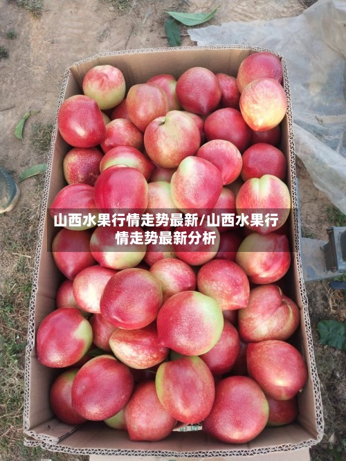 山西水果行情走势最新/山西水果行情走势最新分析