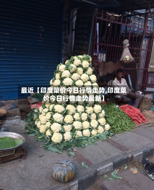 最近【印度菜价今日行情走势,印度菜价今日行情走势最新】-第3张图片