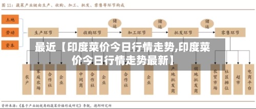 最近【印度菜价今日行情走势,印度菜价今日行情走势最新】-第2张图片