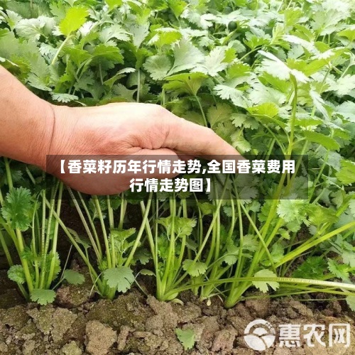 【香菜籽历年行情走势,全国香菜费用
行情走势图】-第2张图片