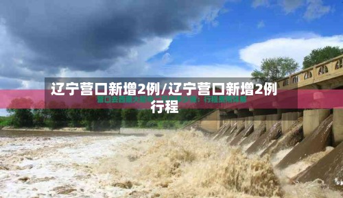 辽宁营口新增2例/辽宁营口新增2例行程-第3张图片