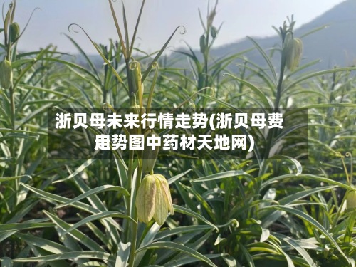 浙贝母未来行情走势(浙贝母费用
走势图中药材天地网)