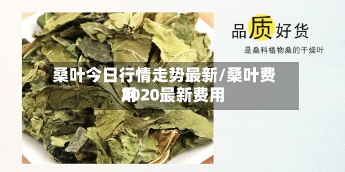 桑叶今日行情走势最新/桑叶费用2020最新费用
