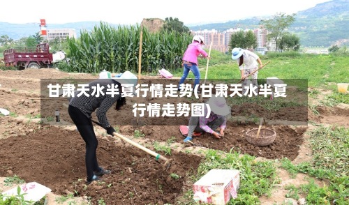 甘肃天水半夏行情走势(甘肃天水半夏行情走势图)-第2张图片