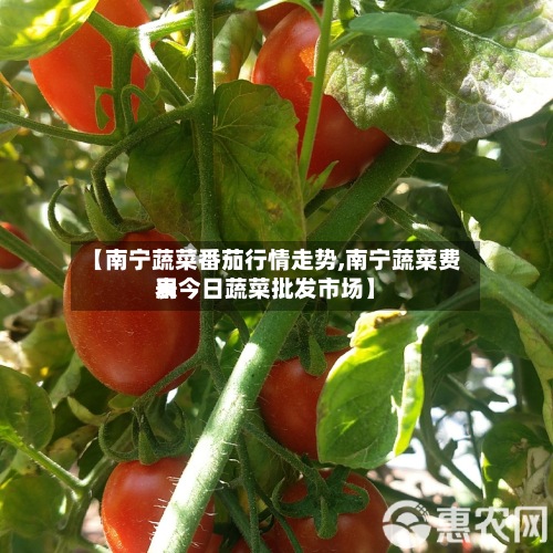 【南宁蔬菜番茄行情走势,南宁蔬菜费用
表今日蔬菜批发市场】