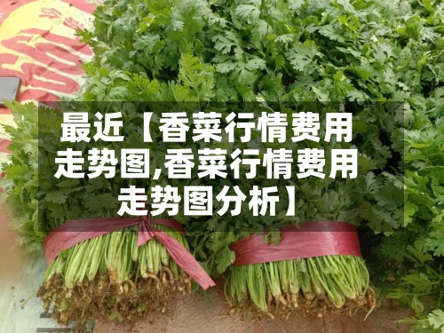 最近【香菜行情费用走势图,香菜行情费用走势图分析】-第2张图片