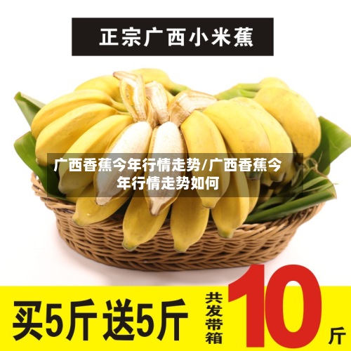 广西香蕉今年行情走势/广西香蕉今年行情走势如何