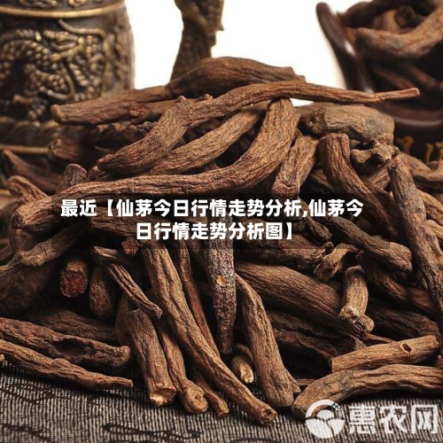 最近【仙茅今日行情走势分析,仙茅今日行情走势分析图】-第3张图片